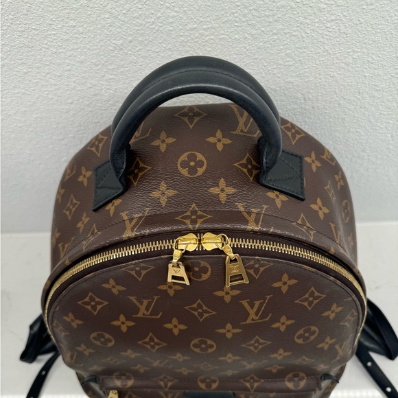 Louis Vuitton Palm Springs MM bag backpack - Picture 2 of 16